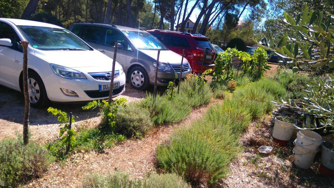 Apartmani Nimcevic Biograd Na Moru Bagian luar foto